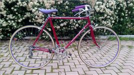 elisa30
